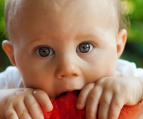Babies who eat healthy food grow into healthy adults. Read more on JenniferMargulis.net
