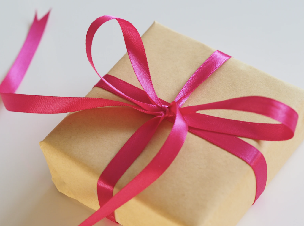 5 Great Gift Ideas for Medical Freedom Doctors | Jennifer Margulis. Ph.D.