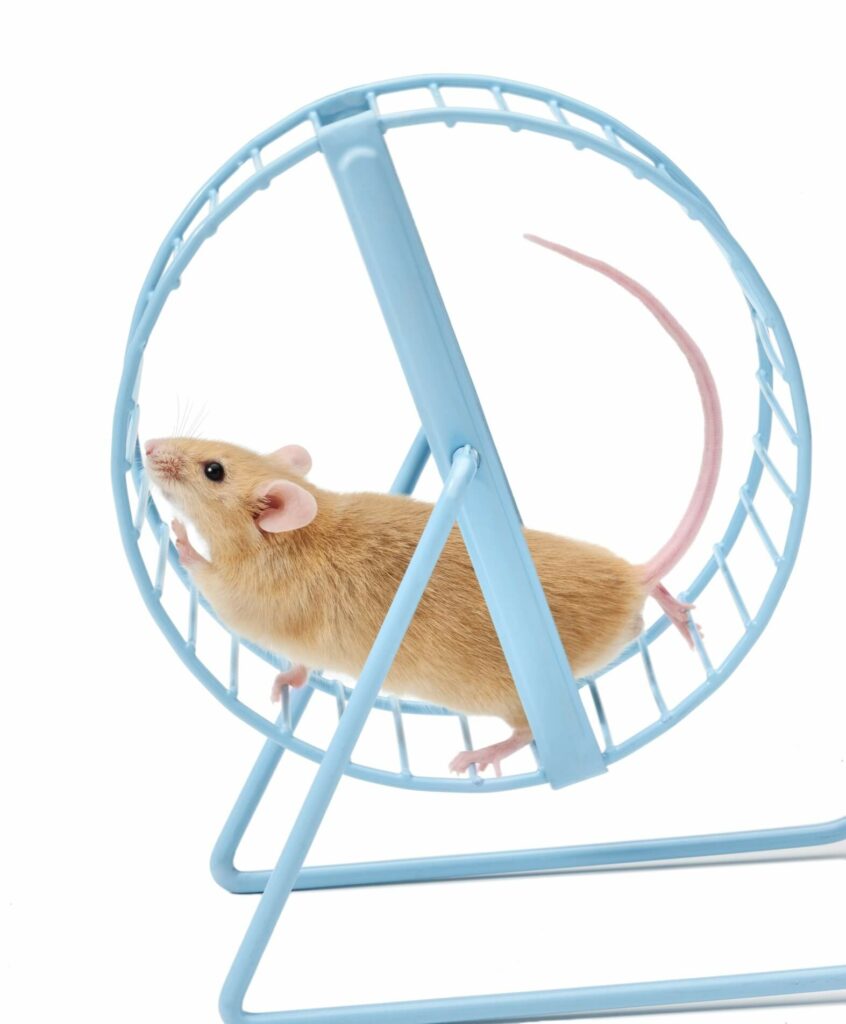 Breaking bad habits is hard. If you want to stop being a gerbil on the treadmill of your life, here are 3 books that will help. | Jennifer Margulis, Ph.D.